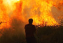 Vieste(FG):Incendio a Baia San Felice, un tragico anniversario che riporta alla memoria il rogo doloso di Peschici del 2007